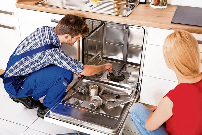 Portable Dishwasher Repair