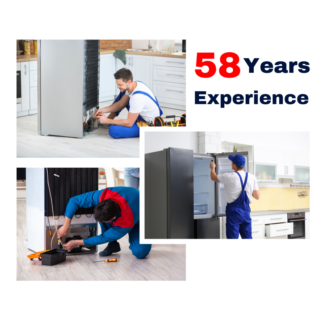 Professional Fridge Repair